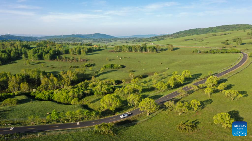 Scenery of Yudaokou pasture in Chengde, N China's Hebei