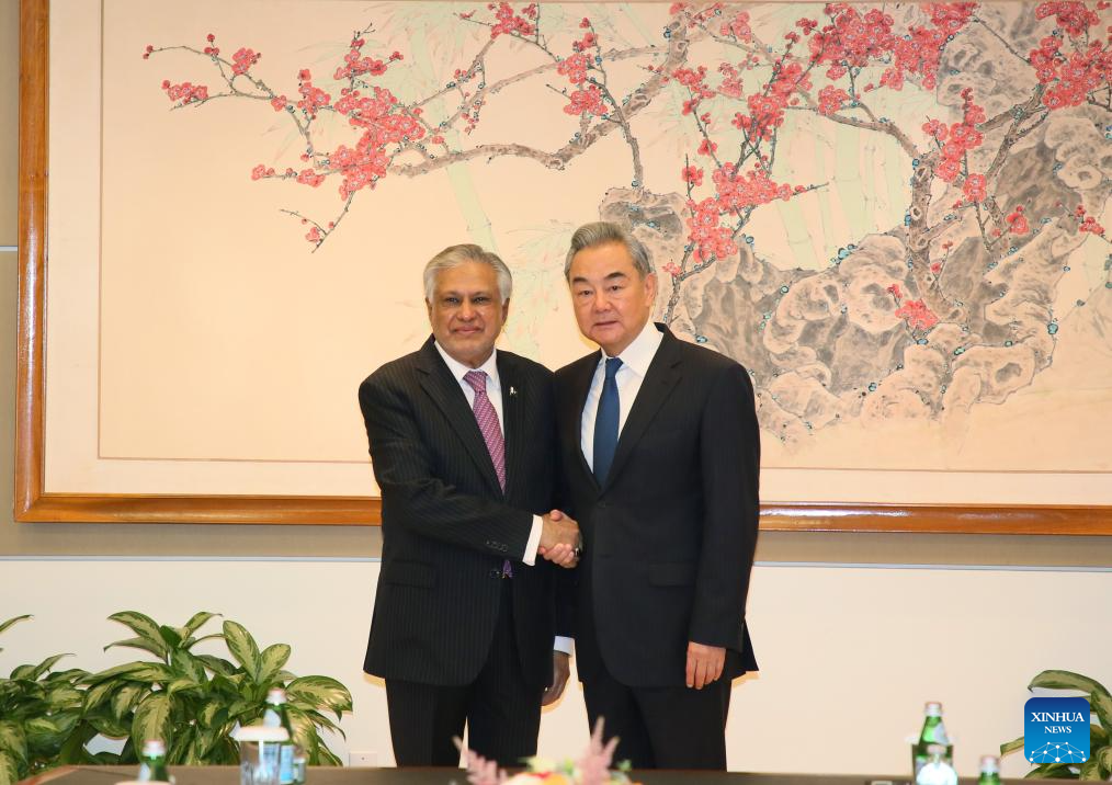 Chinese, Pakistani FMs exchange views on Iran