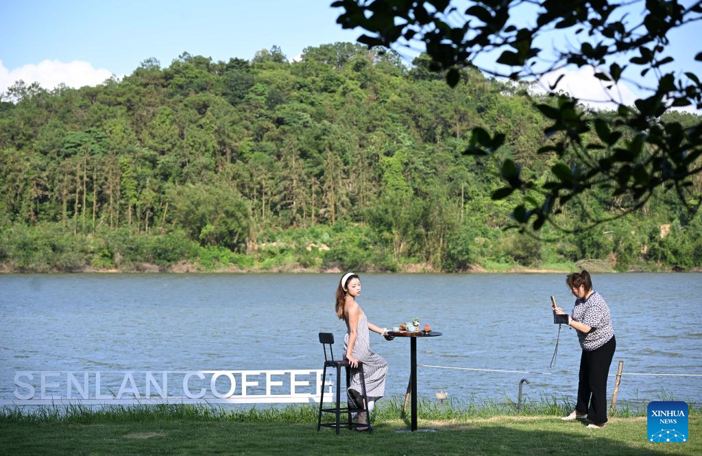 Coffee industry thriving in Jiangmen, China's Guangdong