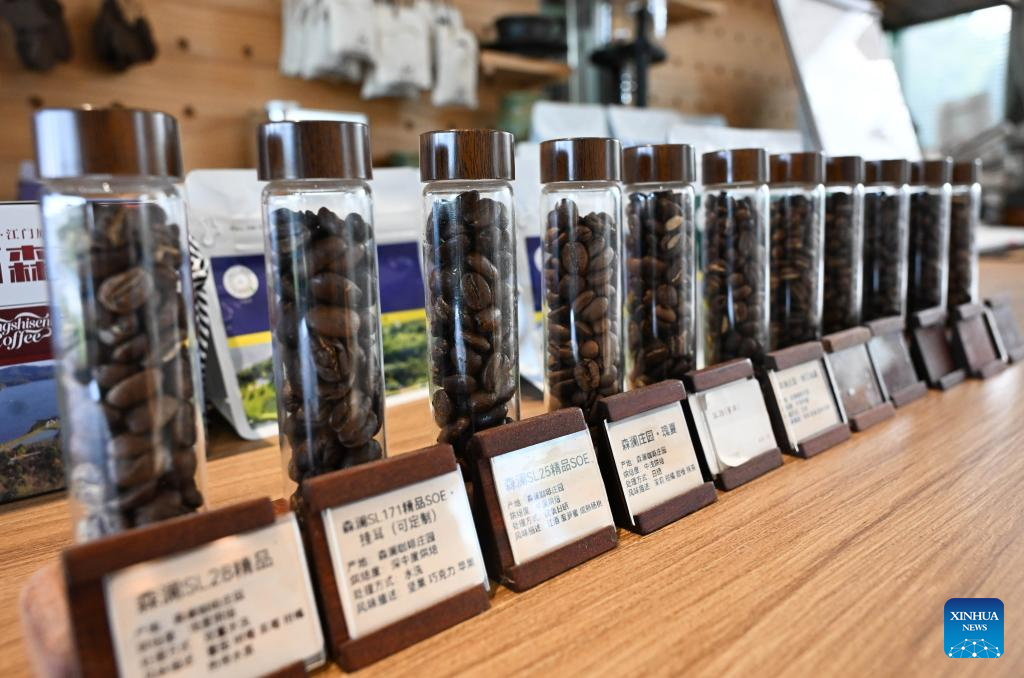 Coffee industry thriving in Jiangmen, China's Guangdong