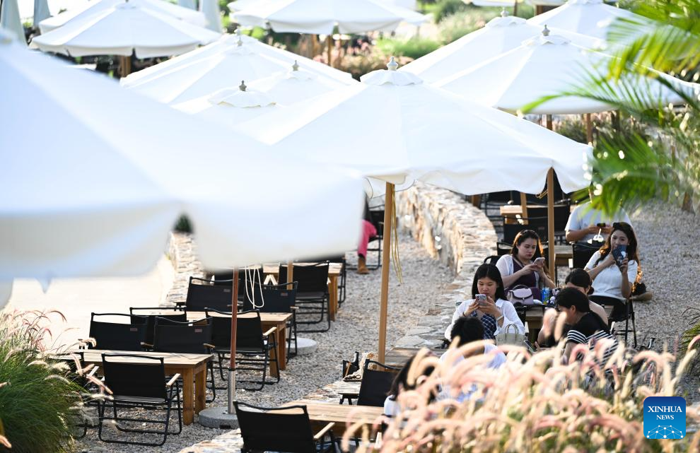 Coffee industry thriving in Jiangmen, China's Guangdong