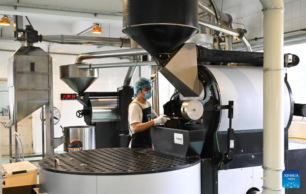 Coffee industry thriving in Jiangmen, China's Guangdong