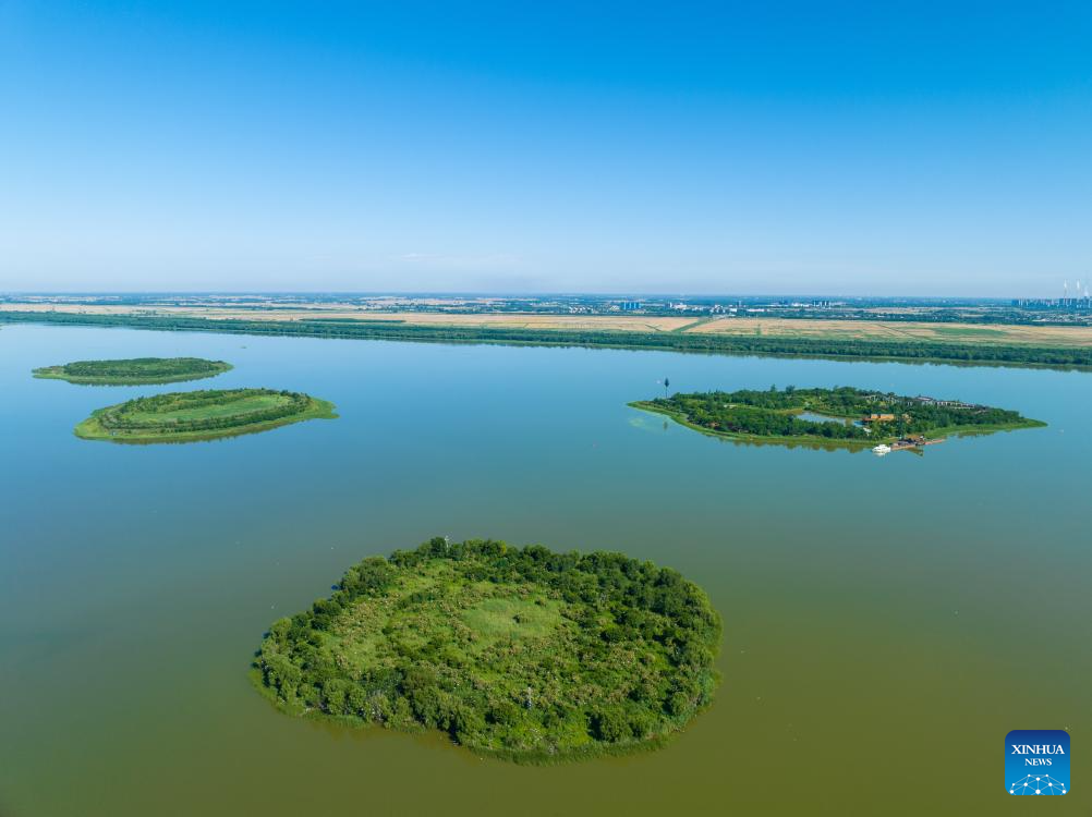 China's Hengshui Lake becomes ideal home for rare birds to inhabit
