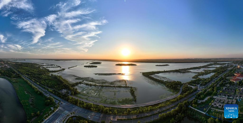 China's Hengshui Lake becomes ideal home for rare birds to inhabit