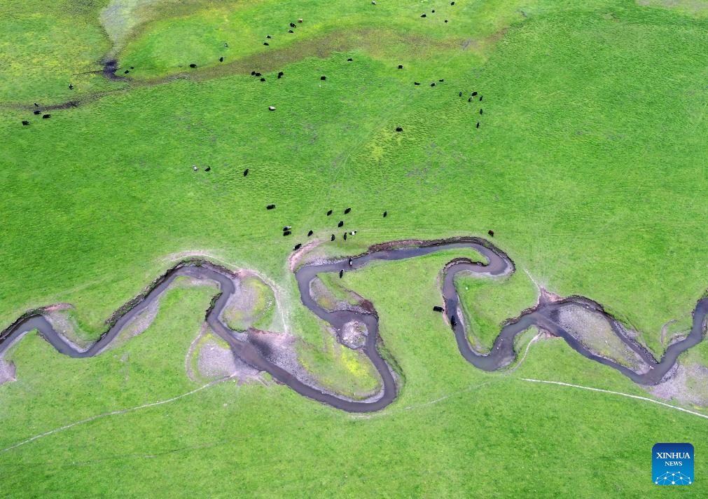 Scenery of grassland in Dingxi City, NW China's Gansu