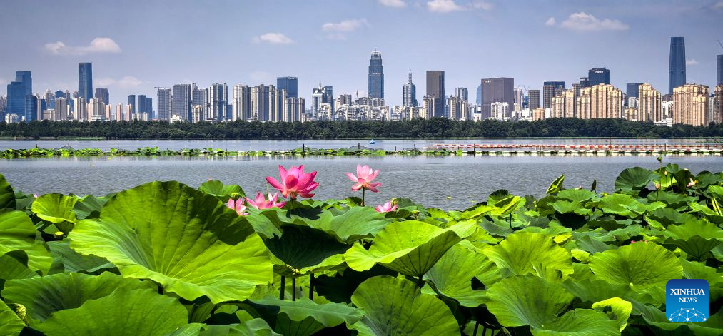 Scenery of East Lake in Wuhan, China's Hubei