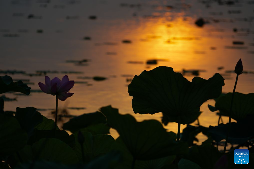 Scenery of East Lake in Wuhan, China's Hubei