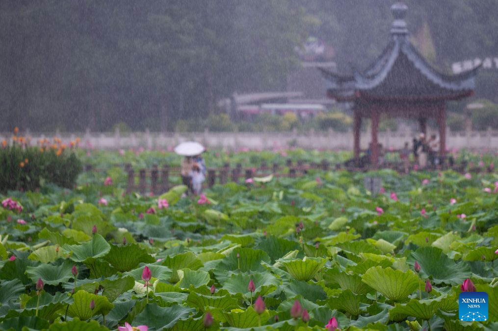 Scenery of East Lake in Wuhan, China's Hubei