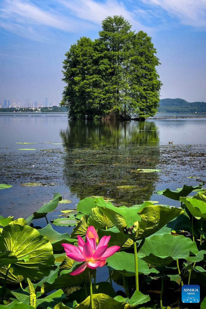 Scenery of East Lake in Wuhan, China's Hubei