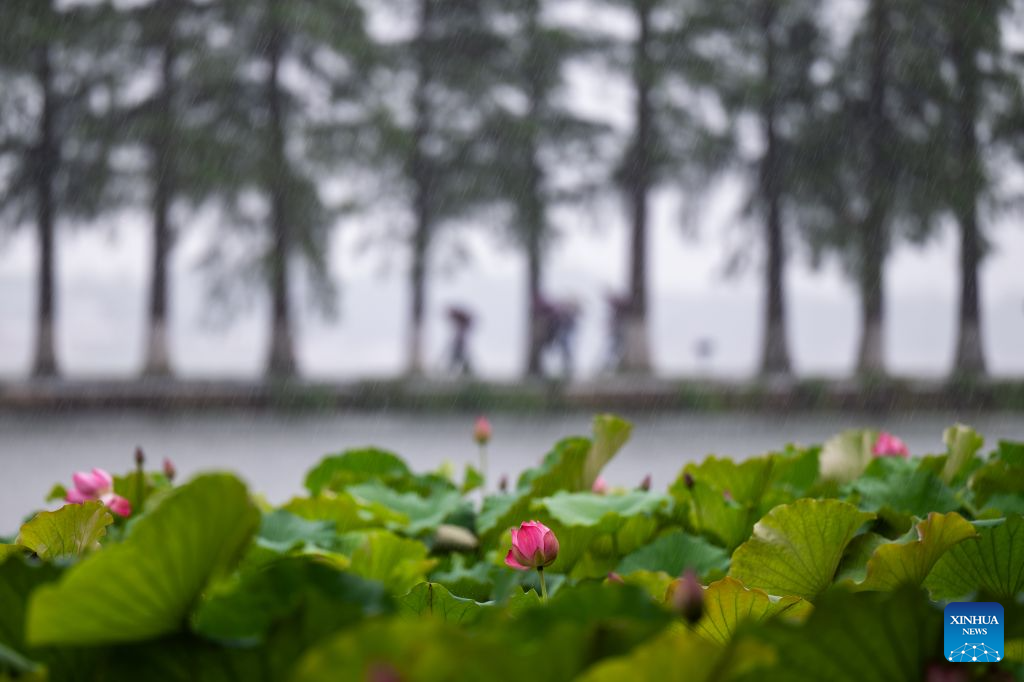 Scenery of East Lake in Wuhan, China's Hubei