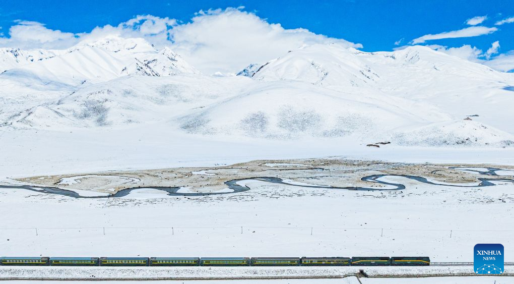 Pic story: 20 years of dedication along China's Qinghai-Xizang Railway