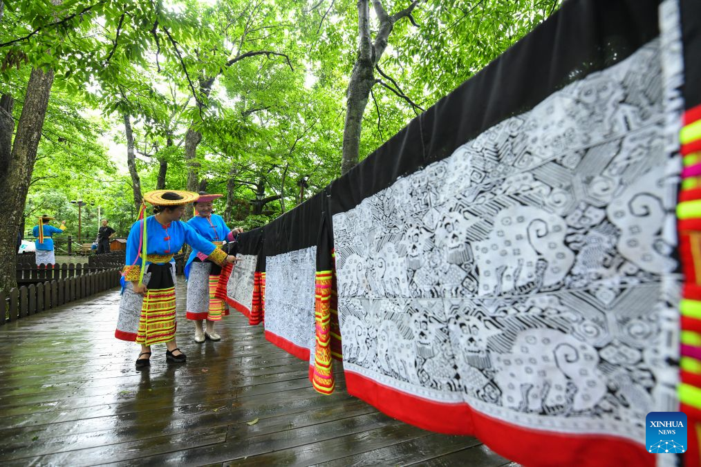 Pic story of Tiaohua cross-stitch embroidery in Longhui County, China's Hunan