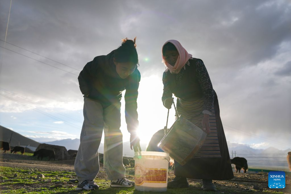 Old photo bears witness to changes brought by Qinghai-Xizang Railway over 20 years