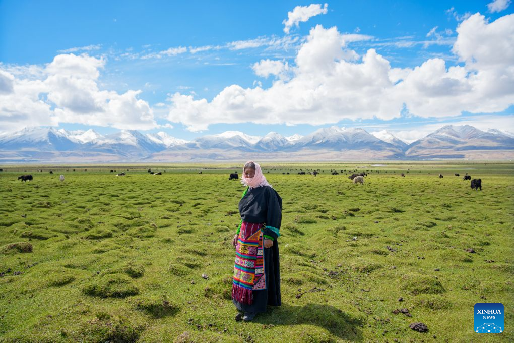 Old photo bears witness to changes brought by Qinghai-Xizang Railway over 20 years