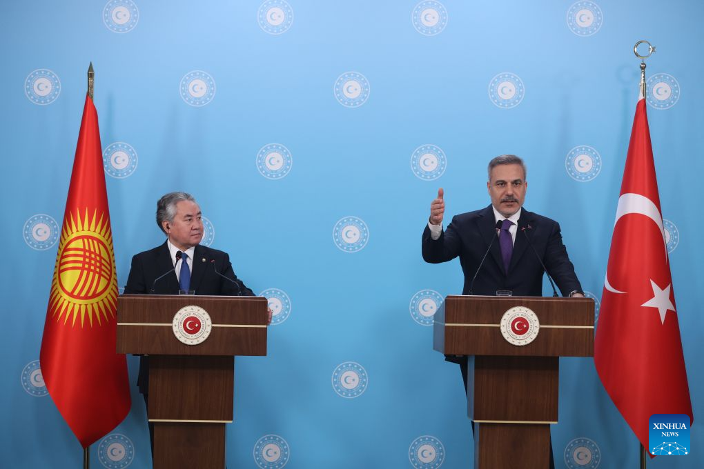Türkiye to highlight defense industry at NATO summit in Ankara: FM