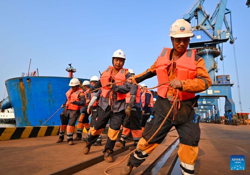 Bulk carrier under COSCO Shipping sets new draft record at China's Tianjin Port