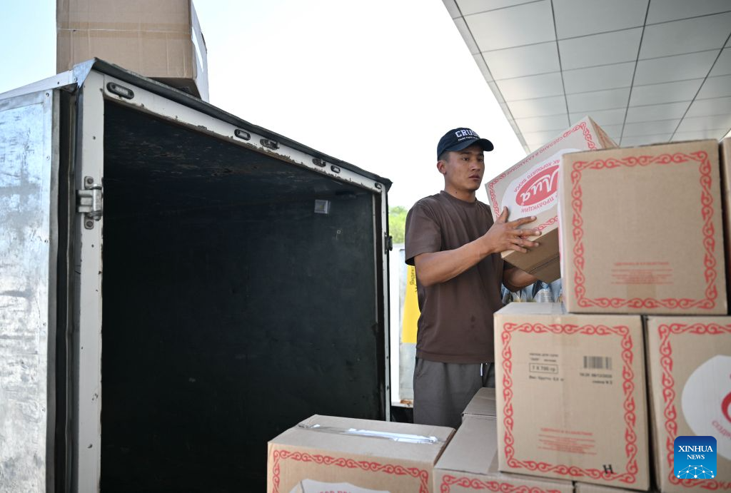 China-Europe freight train, an artery for growth between Xi'an and Almaty