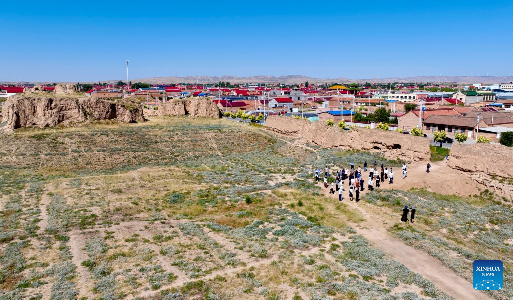 Chinese, foreign participants visit Tongxin County in China's Ningxia