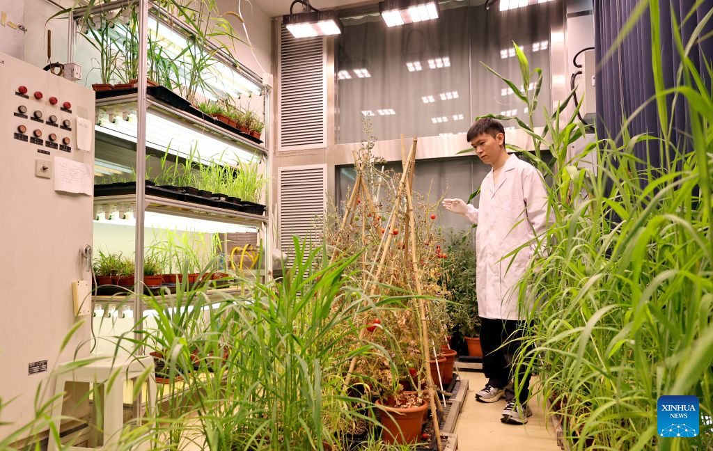 Chinese Academy of Sciences Shanghai Branch committed to fostering basic research