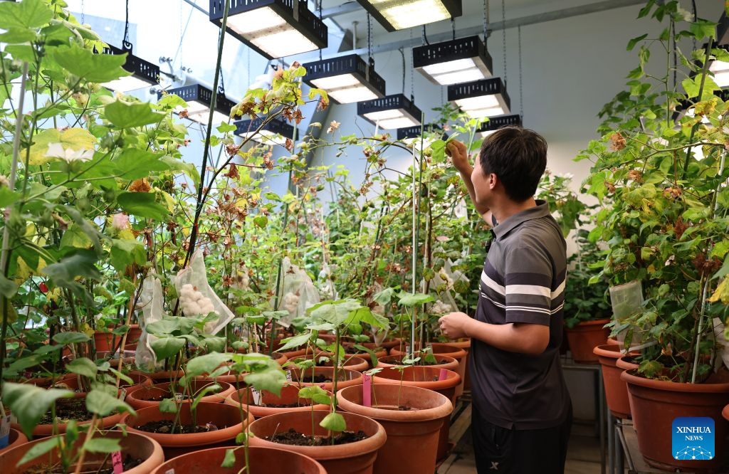 Chinese Academy of Sciences Shanghai Branch committed to fostering basic research