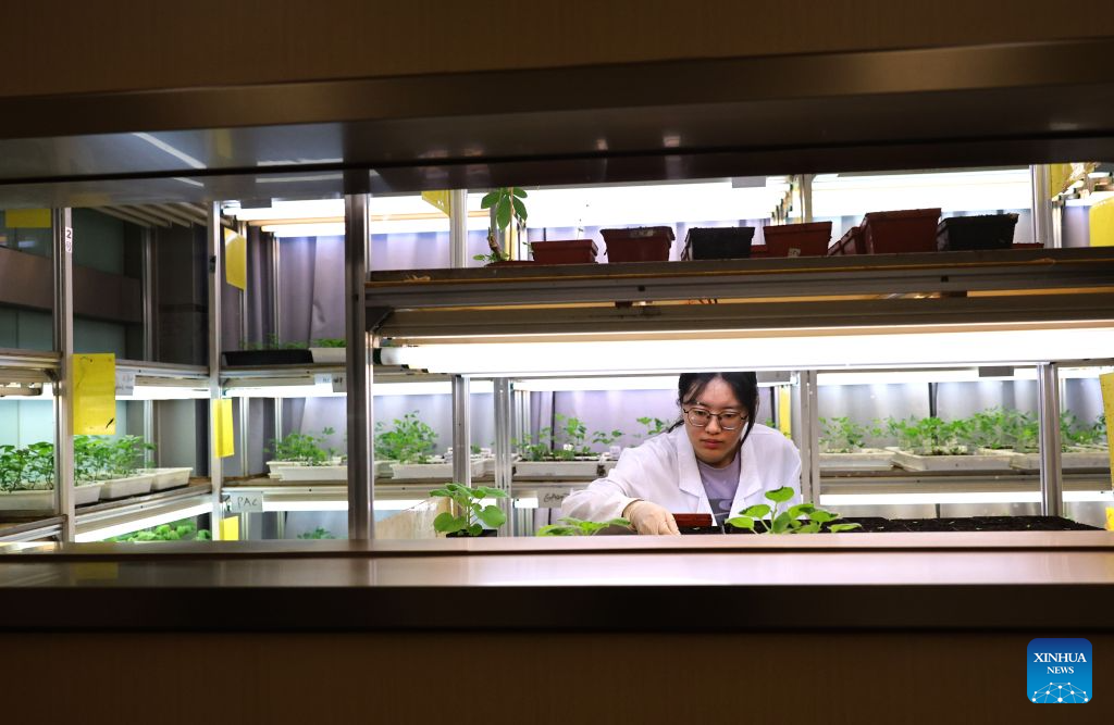 Chinese Academy of Sciences Shanghai Branch committed to fostering basic research
