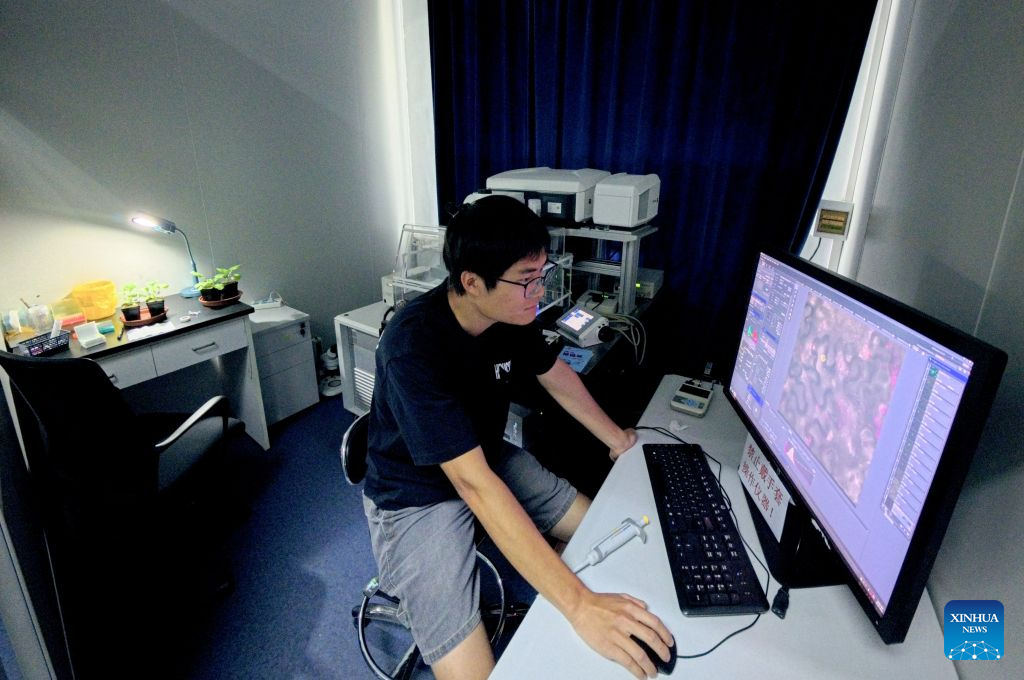 Chinese Academy of Sciences Shanghai Branch committed to fostering basic research