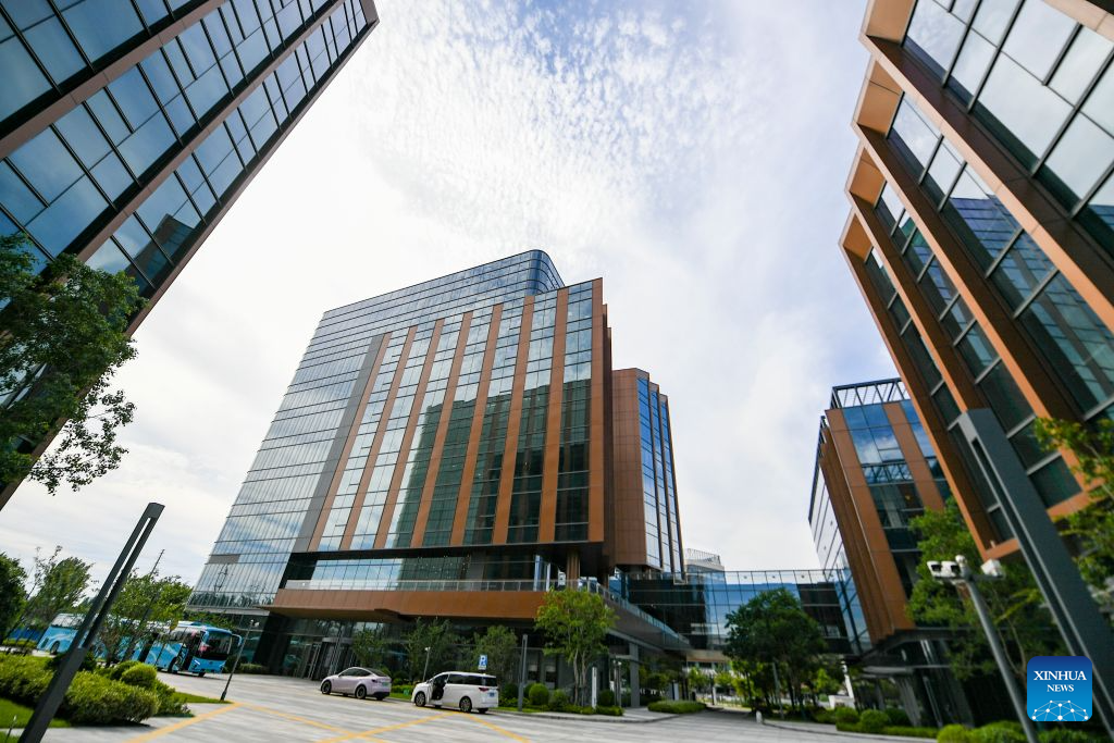 Chinese Academy of Sciences Shanghai Branch committed to fostering basic research