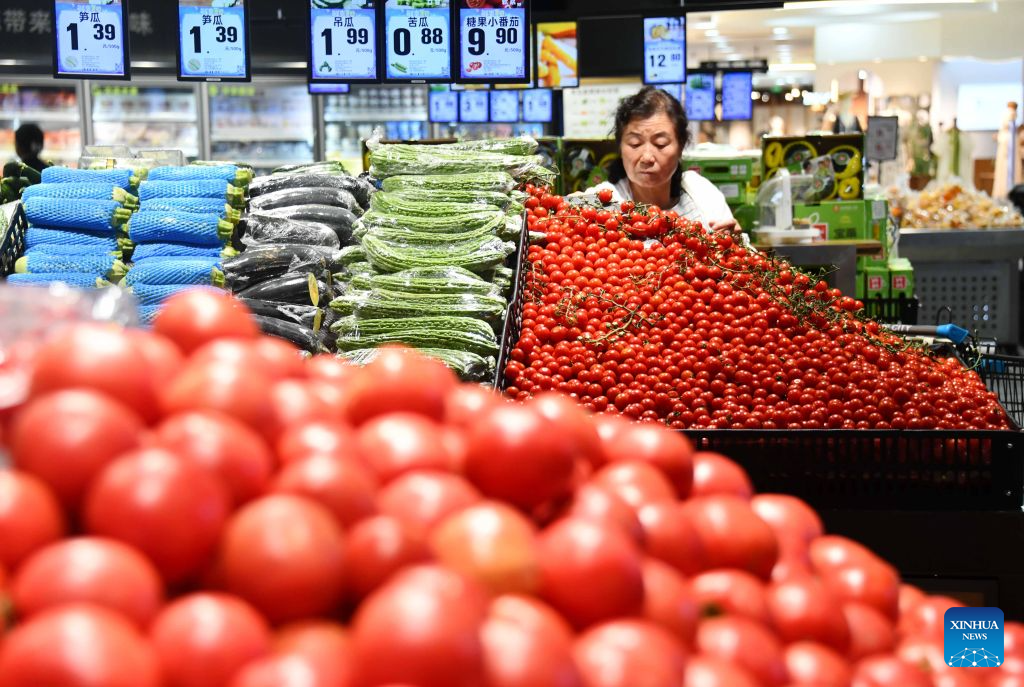 China's H1 price levels remain stable amid steady economic momentum
