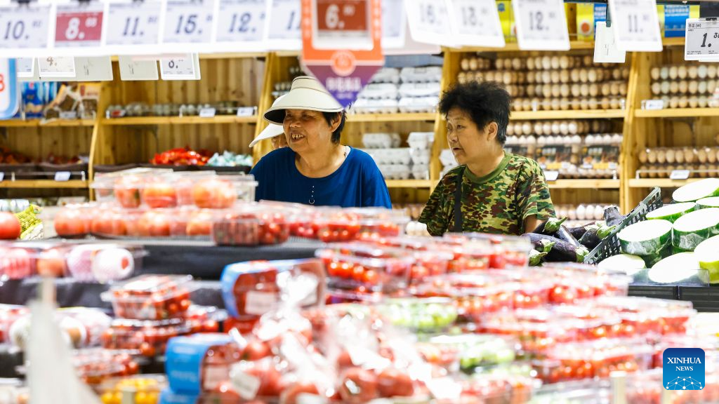 China's H1 price levels remain stable amid steady economic momentum