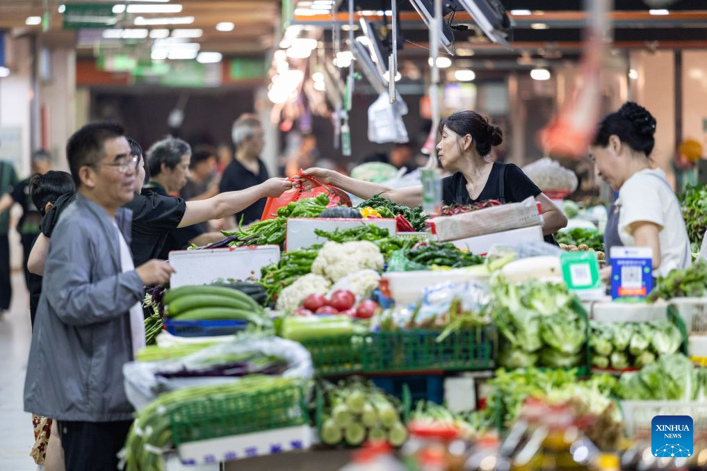 China's H1 price levels remain stable amid steady economic momentum