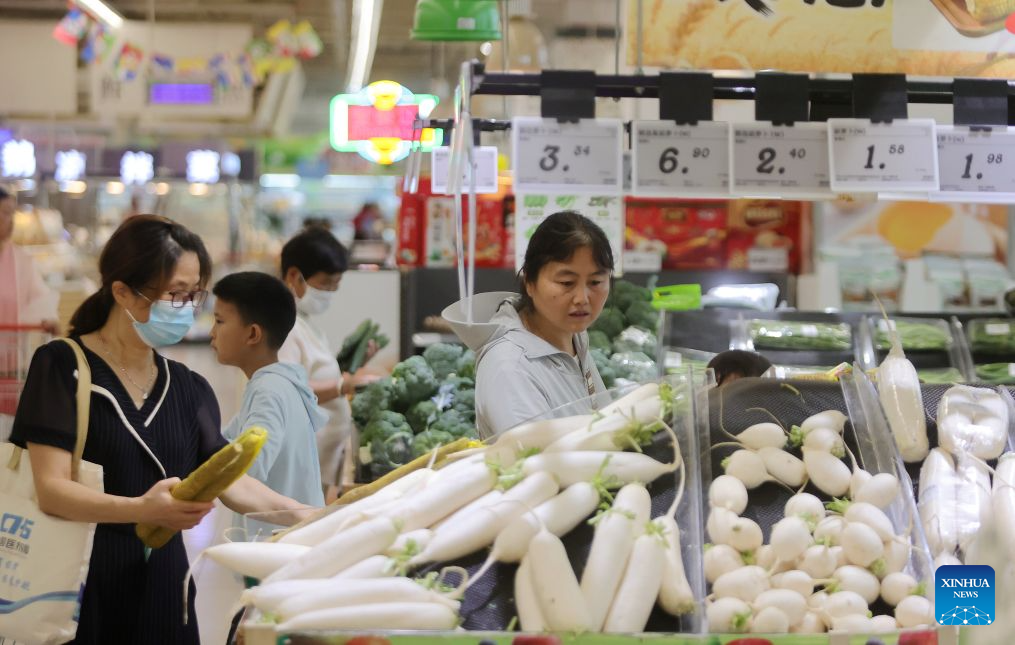 China's H1 price levels remain stable amid steady economic momentum