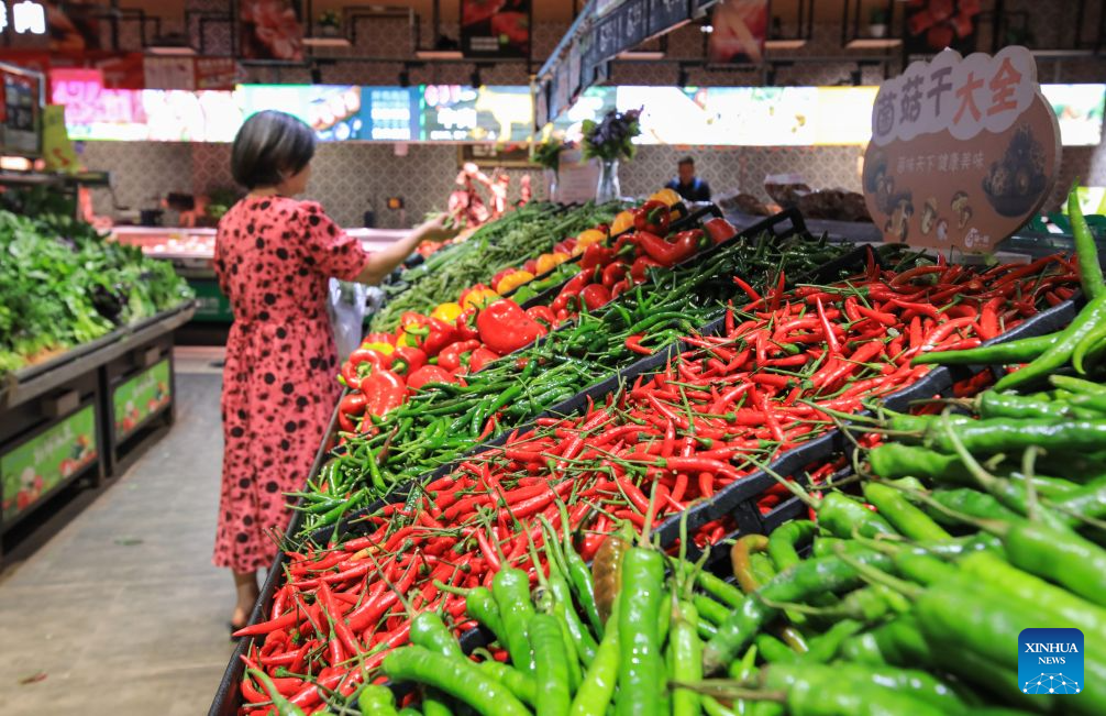 China's H1 price levels remain stable amid steady economic momentum