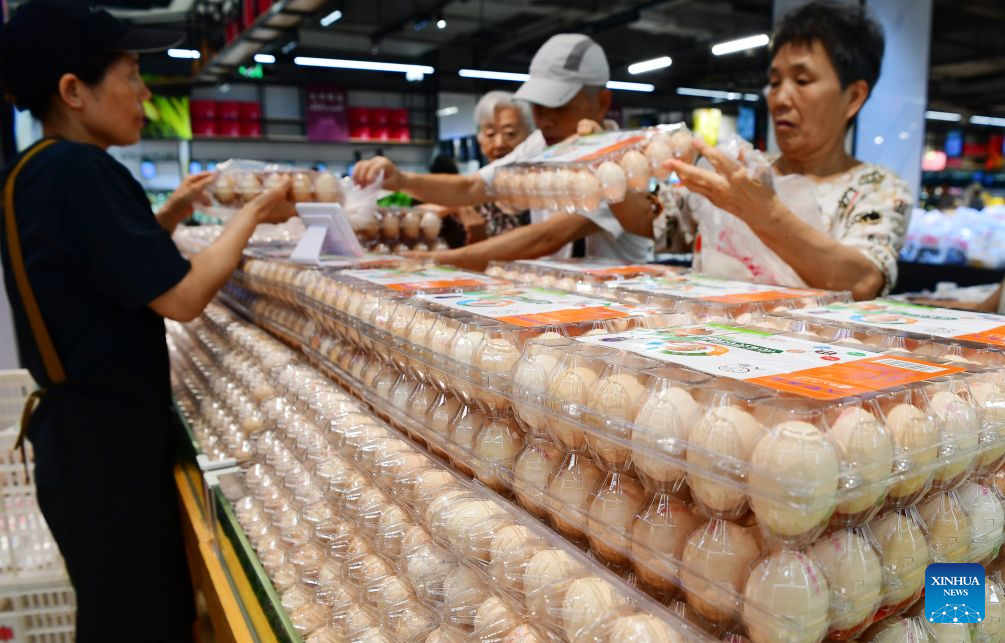 China's H1 price levels remain stable amid steady economic momentum
