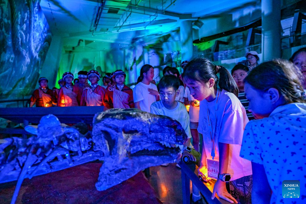 Cultural events bring together young people across Taiwan Strait in Chongqing, SW China