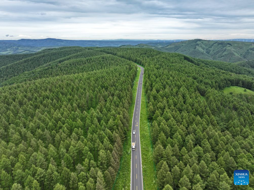 Summer scenery of Saihanba mechanized forest farm