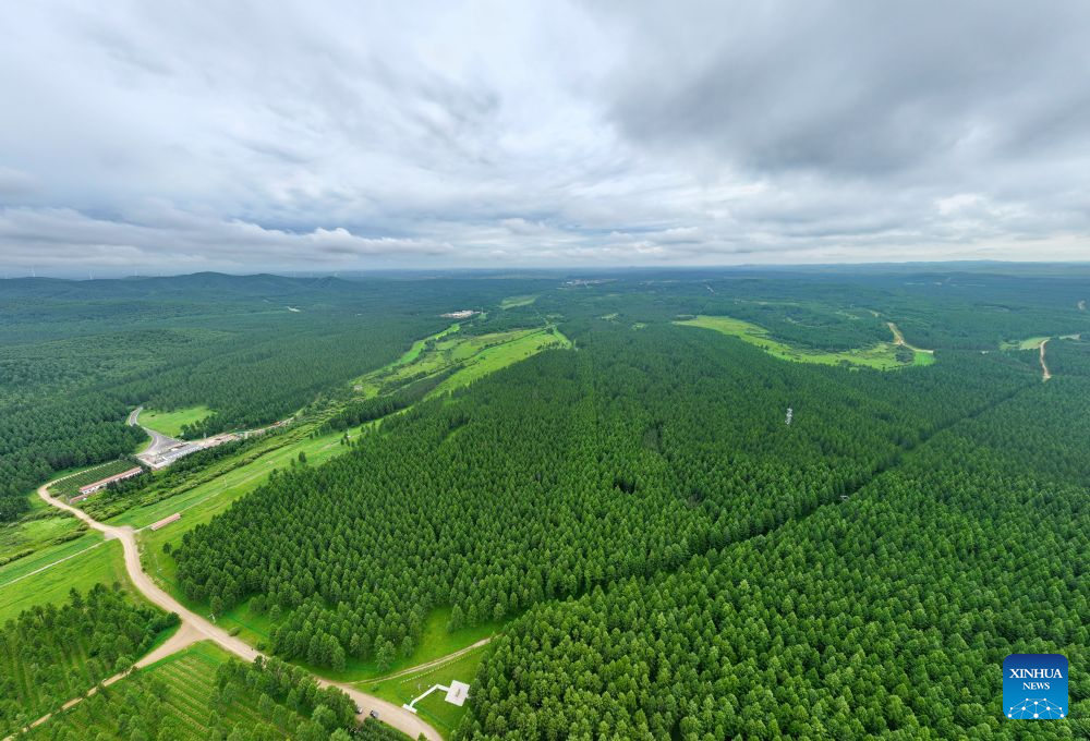 Summer scenery of Saihanba mechanized forest farm