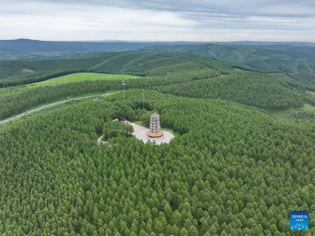 Summer scenery of Saihanba mechanized forest farm