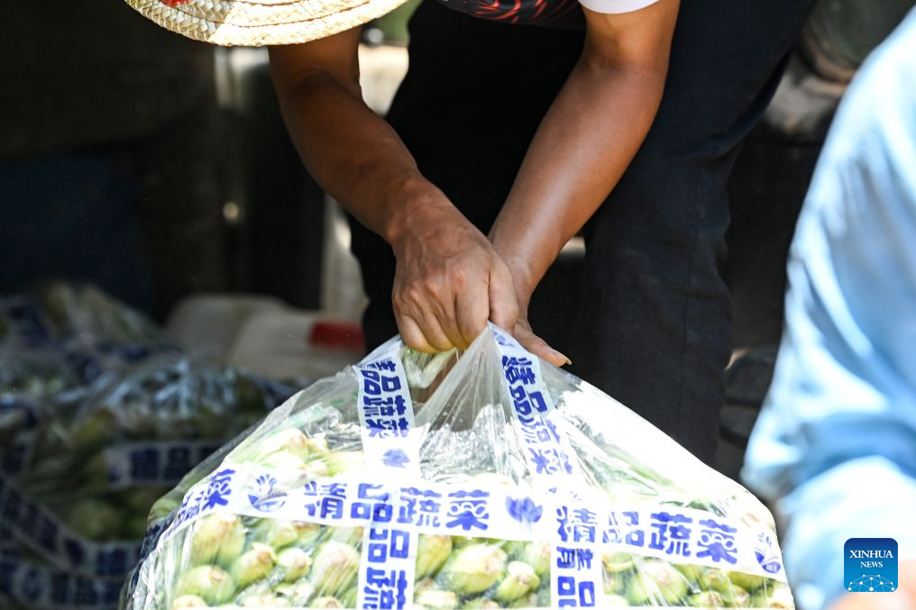 Efforts underway to support flood recovery in south China's Guangxi