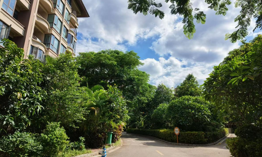 In pics | Xishuangbanna builds welcoming communities for residents from across China In pics | Xishuangbanna builds welcoming communities for residents from across China