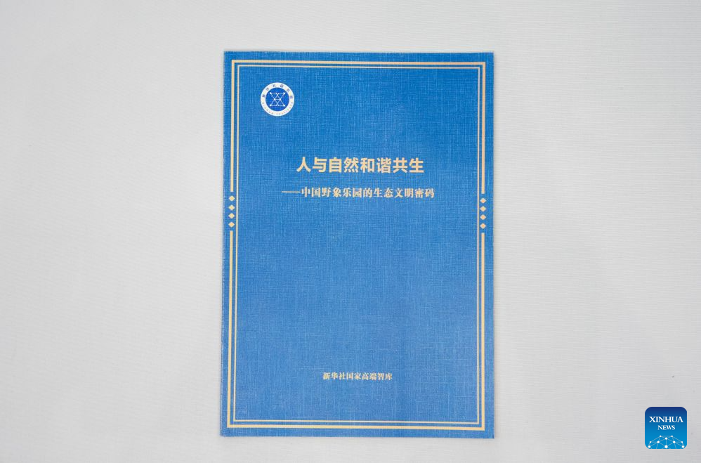 Forum on international communication being held in SW China's Yunnan