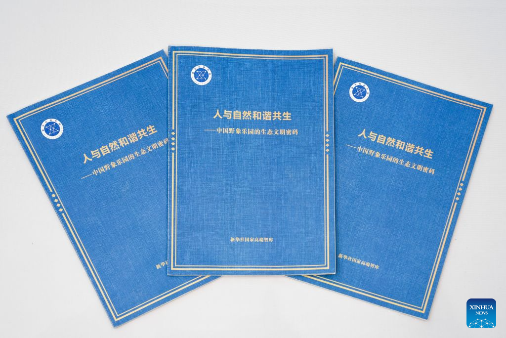 Forum on international communication being held in SW China's Yunnan