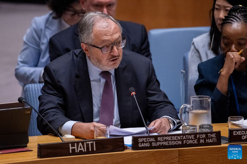 UN envoy calls for efforts to maintain momentum in Haiti's political transition
