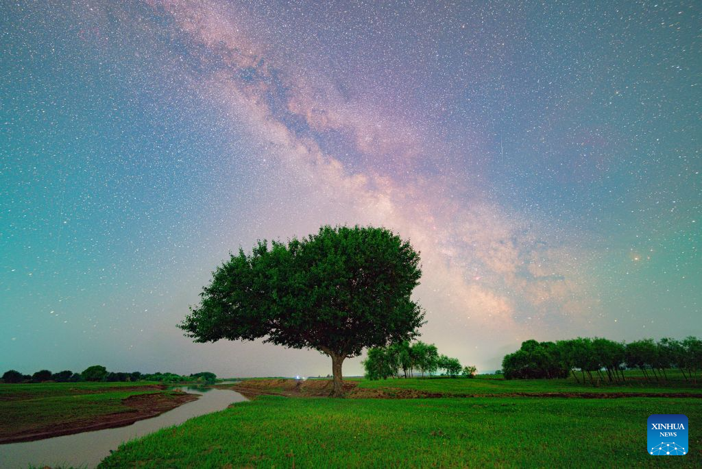 Milky Way sparkles over night sky in NE China's Heilongjiang