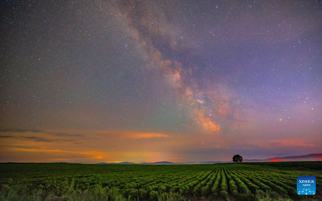 Milky Way sparkles over night sky in NE China's Heilongjiang