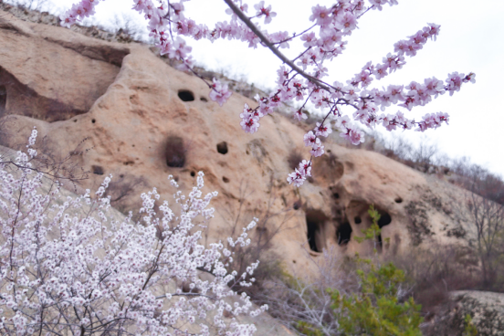 Life at the Great Wall: Guyaju Cave Life at the Great Wall: Guyaju Cave