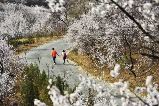 Explore Badaling: Four season of the Badaling Ancient Great Wall