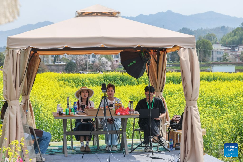 China Focus: Beyond livestream: Can clicks become lasting careers for China's youth?