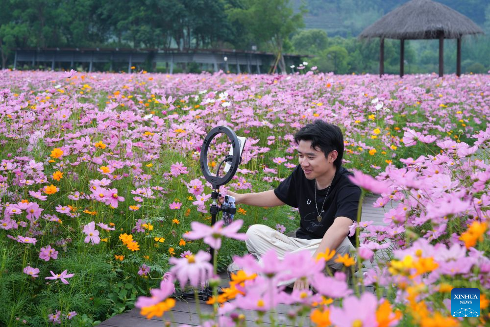 China Focus: Beyond livestream: Can clicks become lasting careers for China's youth?