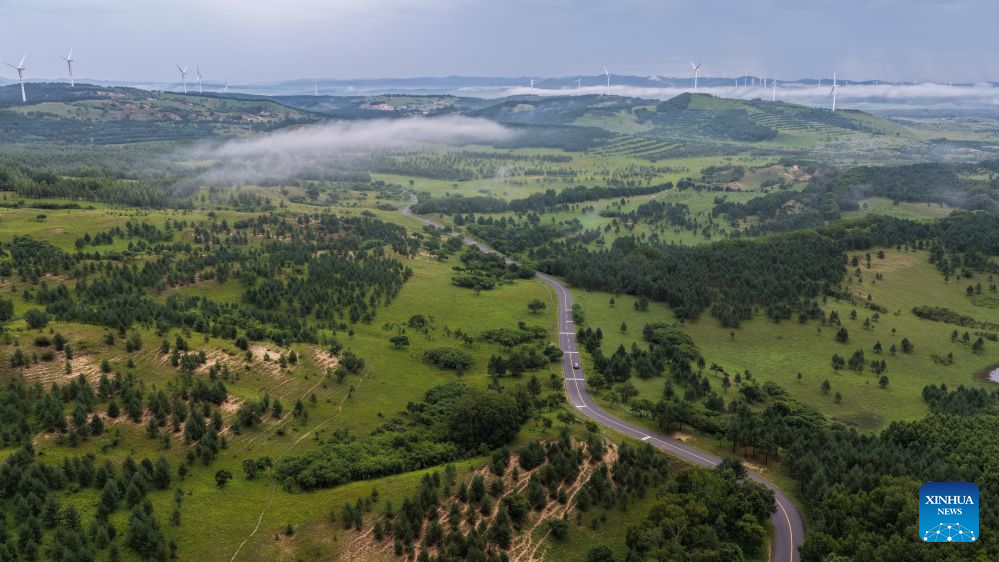 Scenery of Bashang grassland in N China's Hebei