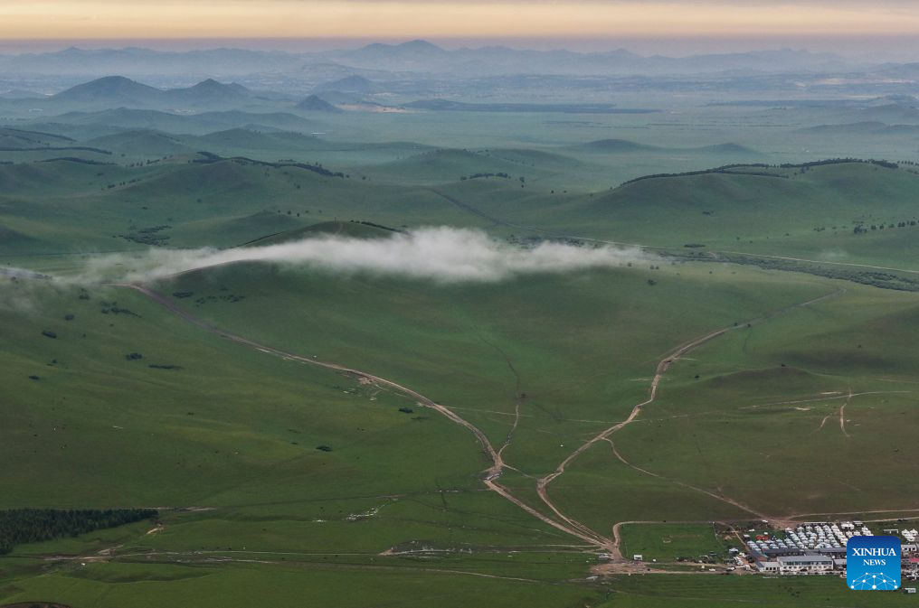 Scenery of Bashang grassland in N China's Hebei